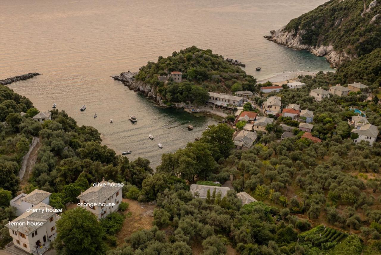 Olive House In Damouchari With A Sea View - Delicious Houses Eksteriør bilde