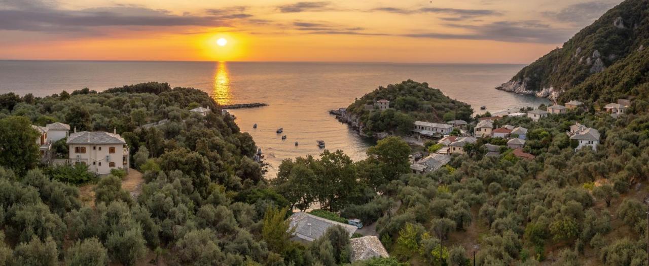 Olive House In Damouchari With A Sea View - Delicious Houses Eksteriør bilde